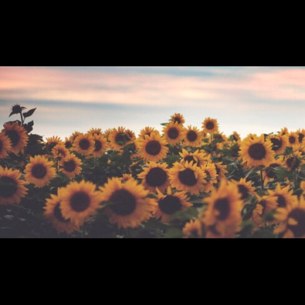 BUNDLE NOW!!!❤️🎉😁😎